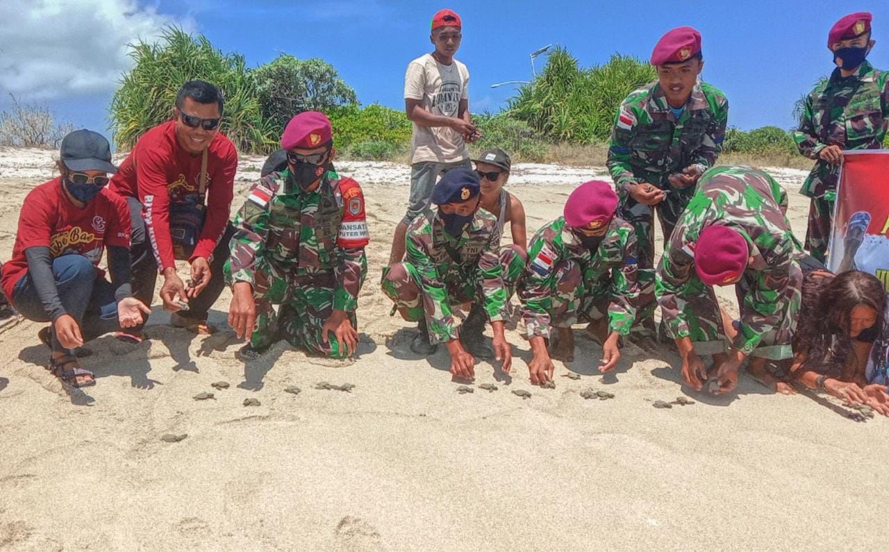 podiumnews.com-Ratusan Tukik Dilepaskan di Ujung Selatan Indonesia